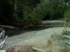 1bridge