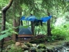 camp